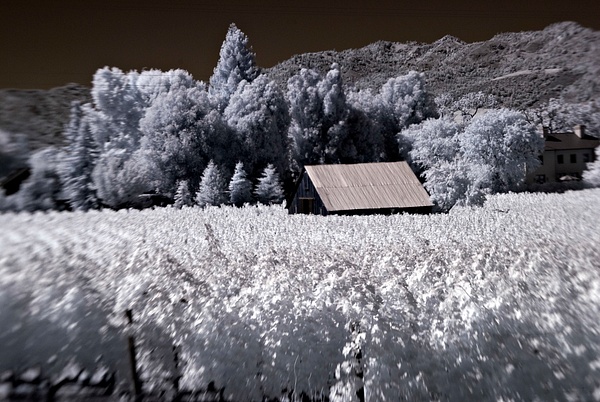 Infrared of Vermont field and barn by Rick Friedman - Infrared - Rick Friedman Photography