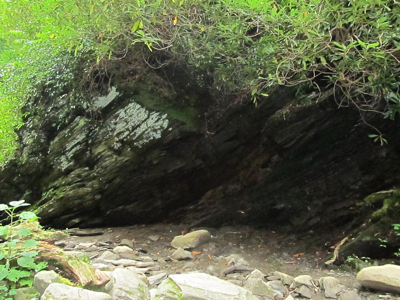 Trillium_Gap_Trail_and_Grotto_Falls_175
