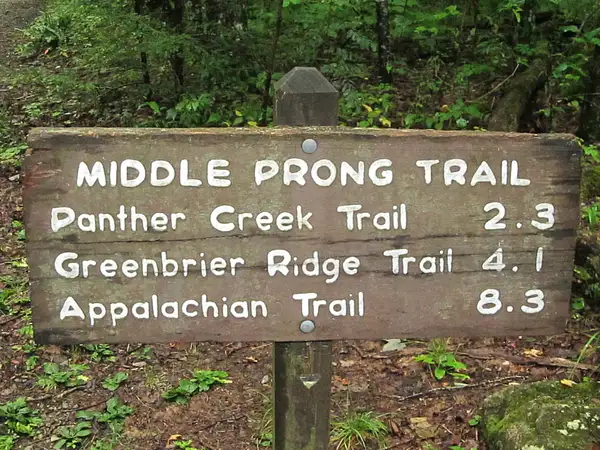 Middle Prong Trail 8-14-2011 by PatrickPj by PatrickPj