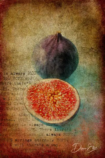Figs by Donna Elliot