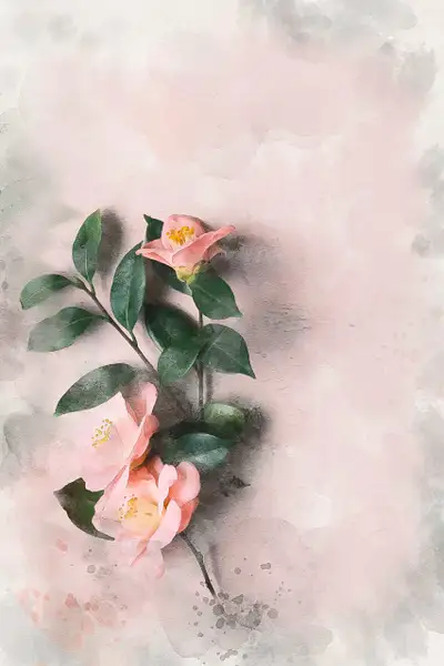 Pink Petals by Donna Elliot