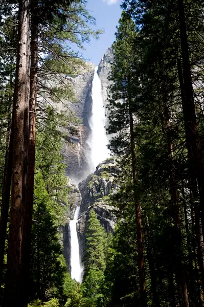 Yosemite Falls by Donna Elliot