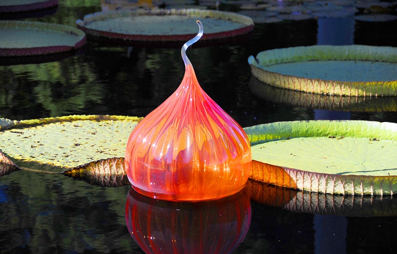 Lily Pads and Glass Art