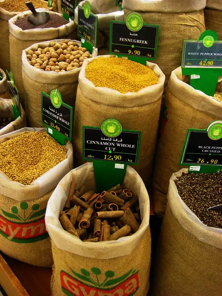 Dubai Spices 3 by Donna Elliot
