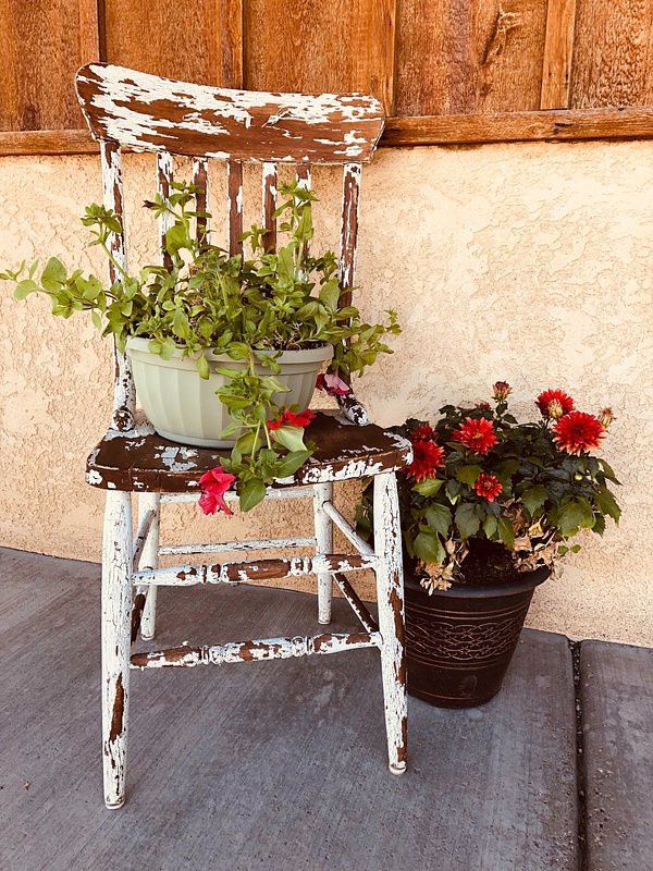 Flowers and Chair