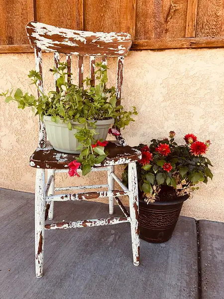 Flowers and Chair by Donna Elliot