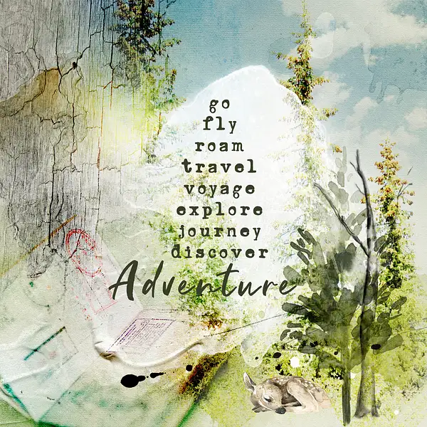 Adventure copy by Donna Elliot
