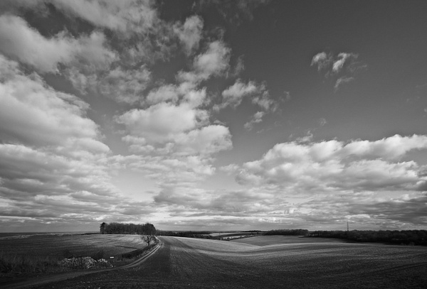 Track to the Woods - Landscapes and Clouds at Sky and Cloud