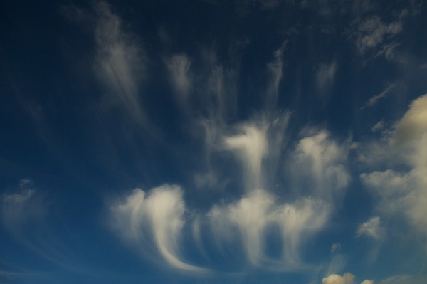 Cirrus Castellanus - High Clouds at Sky and Cloud