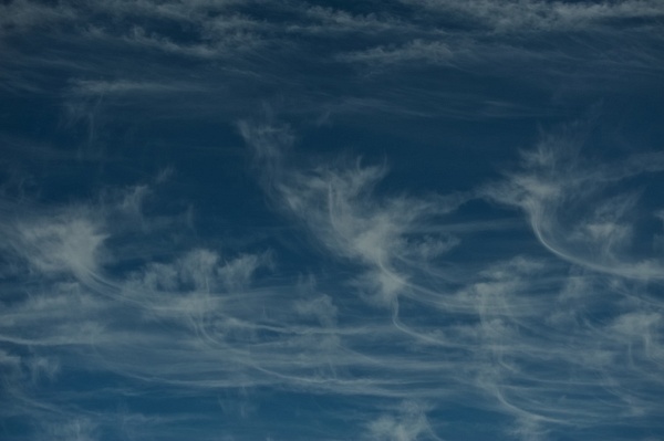 Cirrus Fibratus - High Clouds at Sky and Cloud