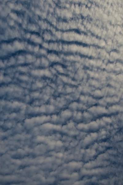 Cauliflower Clouds - SKY AND CLOUD