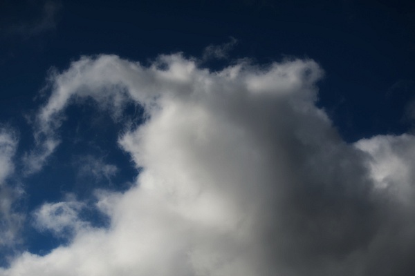 Calf Elephant Cloud - Playful Clouds at Sky and Cloud 