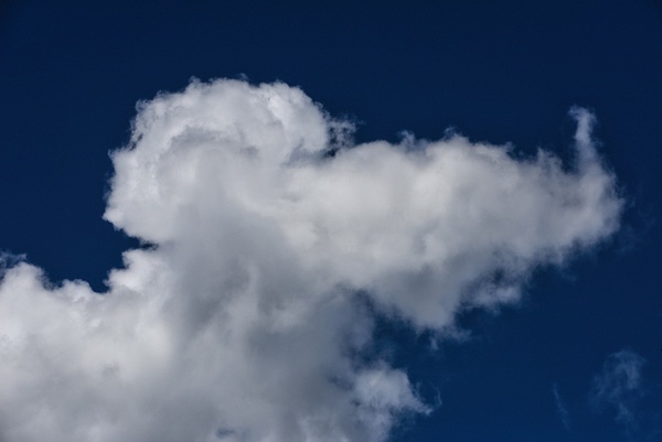 Pointy Nose Rodent - Playful Clouds at Sky and Cloud 