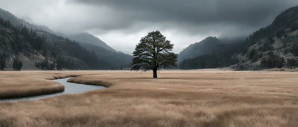 Grassland Tree and Sky - New at Sky and Cloud - SKY AND CLOUD