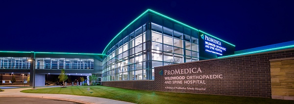 ProMedica Architectural 2 - Sticks and Stones - Eric Eggly
