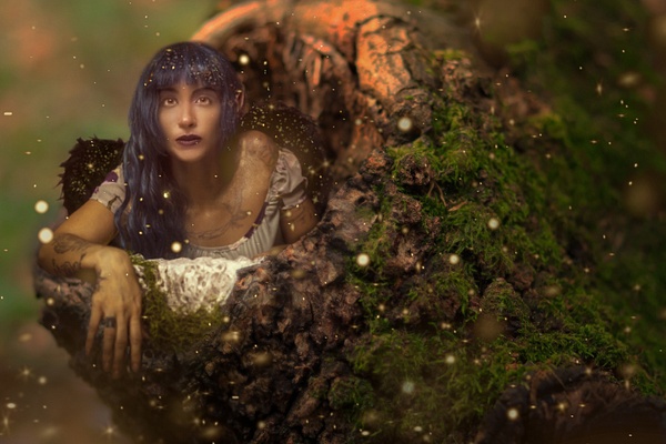 Fairy Woods III - Creative Projects - Jonathan D Photography 