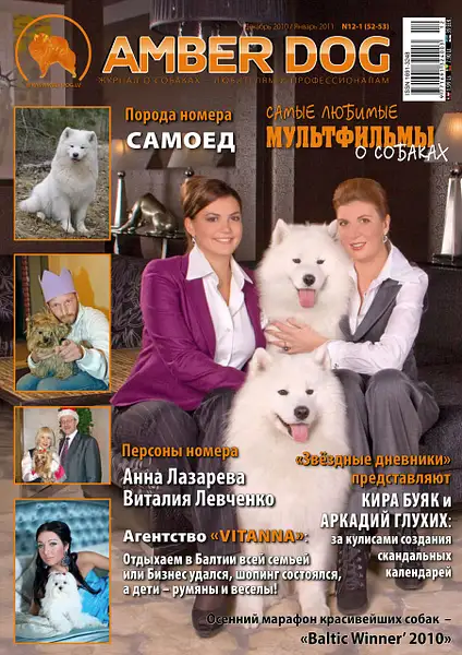 Amber_Dog_Magazin by Vlad Zharoff