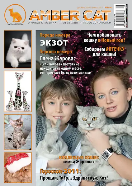 Amber_Cat_Magazin by Vlad Zharoff