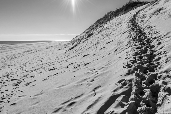 HeadingBack-beach-sand-pathway-footprints-dune-cape-cod-Joe-McClure-4 - Landscapes - Joe McClure