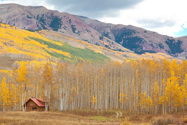 Colorado Fall Color # -4563 - mdiPhotography 