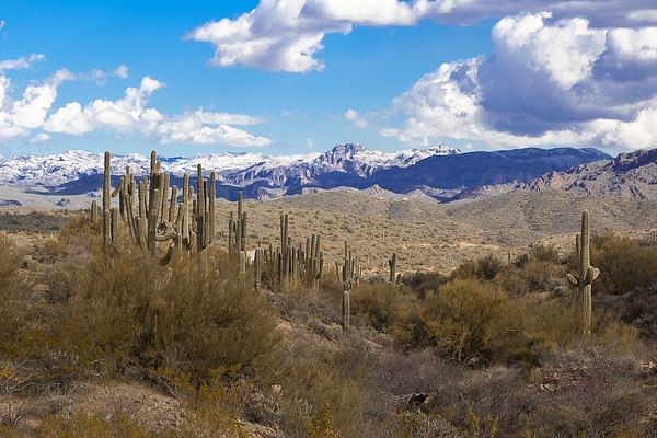 Four Peaks Snow # 0936 - The Southwest - mdiPhotography 