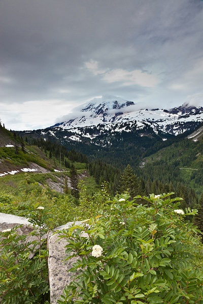 Mt Rainier # 3386 - National Parks - mdiPhotography 