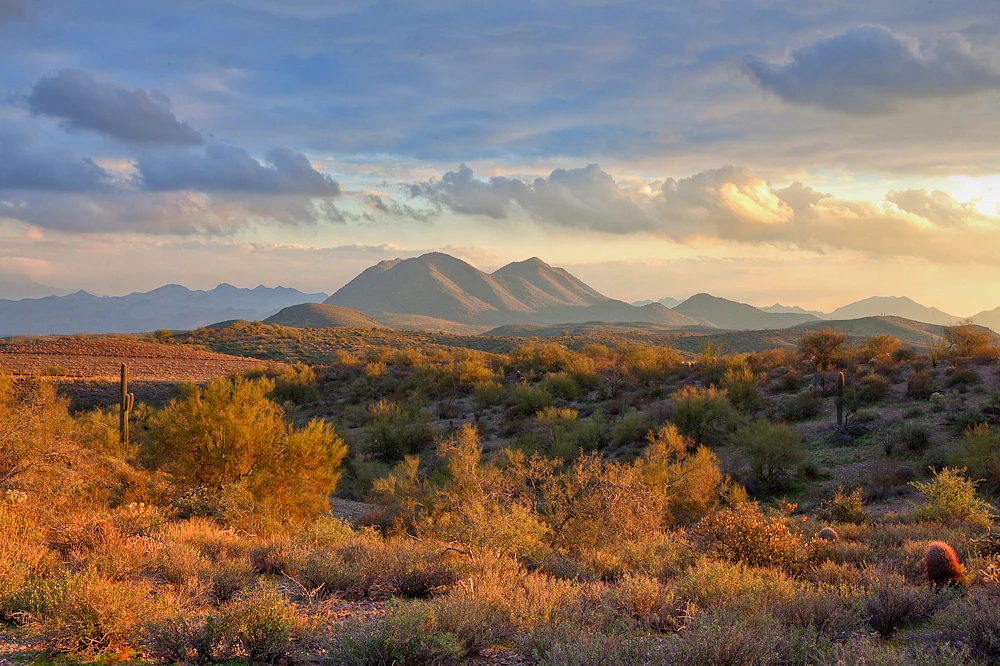 Golden Light Mazatzal Wilderness # 7481-2-3T