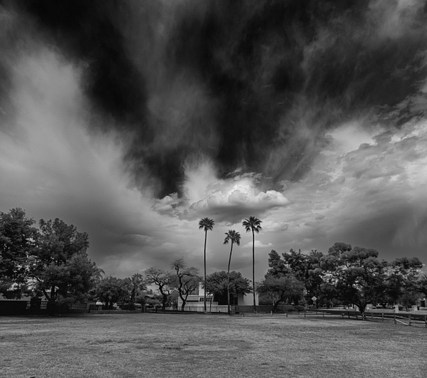 Palms holding up the clouds Pano #3697- - Storm Chasing - mdiPhotography