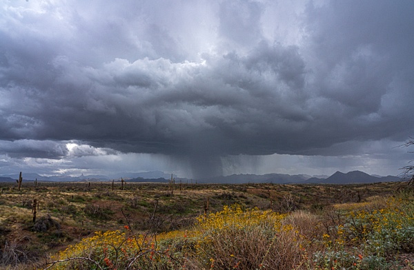 Four Peaks Rain Storm Funnel Lg # 7070-7070 - Storm Chasing - mdiPhotography