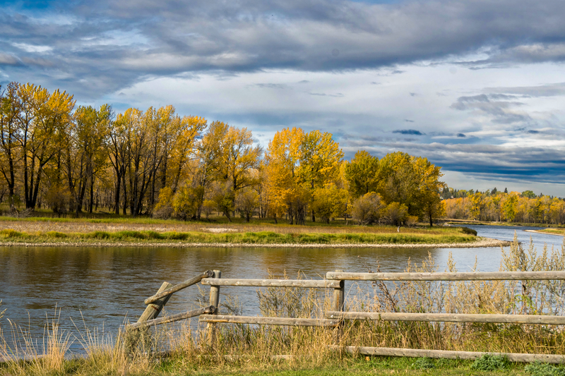 Bow River Fall Fence Me In!