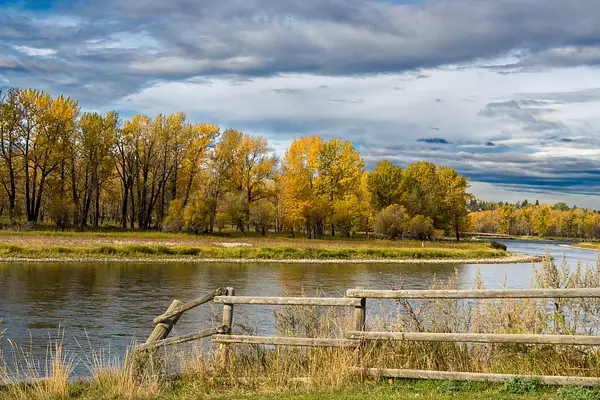 Bow River Fall Fence Me In! by Vanelli