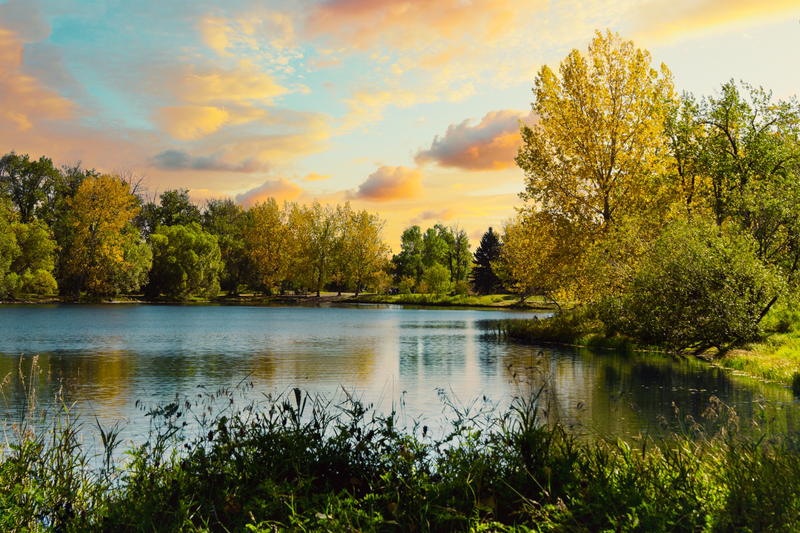 _Ian Neilson_Fall Carburn Park Fine Art Style