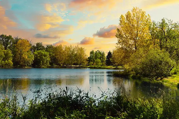 _Ian Neilson_Fall Carburn Park Fine Art Style by Vanelli