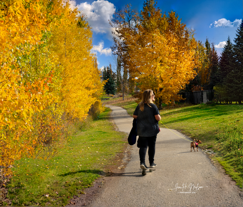 _Ian Neilson_Fall walking our dog Freddy.