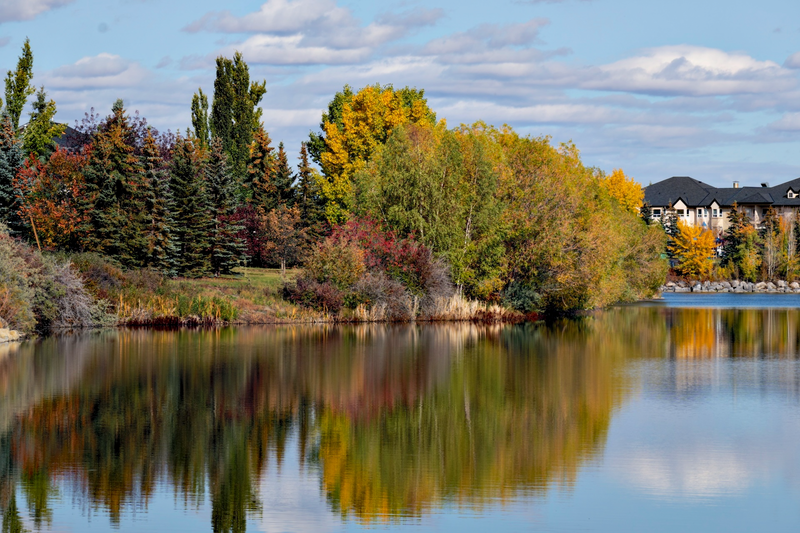 _Ian Neilson_Fall Serenity From My HomeMovement photo