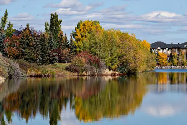 _Ian Neilson_Fall Serenity From My HomeMovement photo by...
