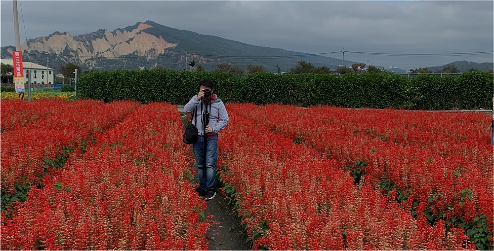 mikerosales-header