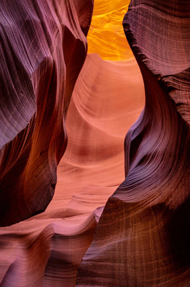 Enchanting Curves in Lower Antelope Canyon
