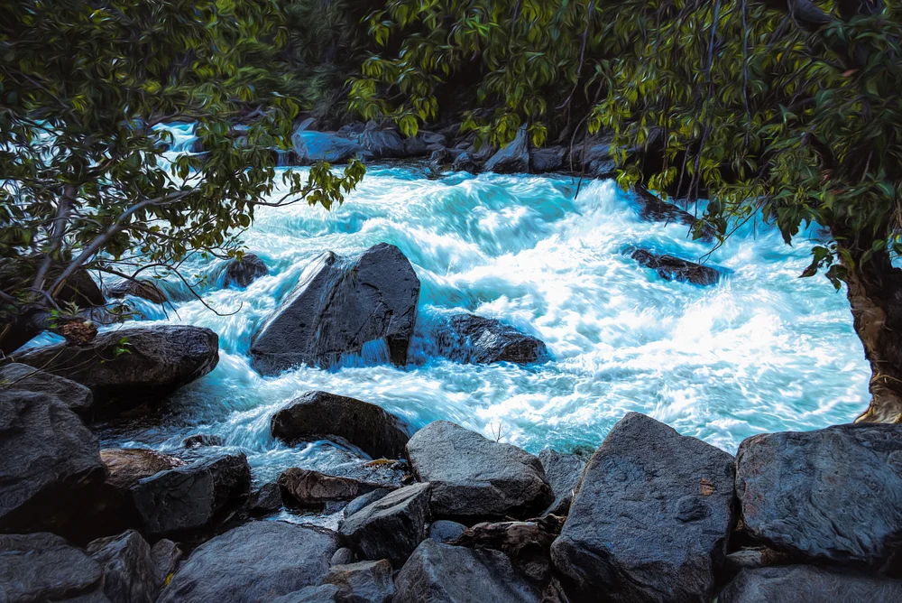 Rushing Waters in Scenic Canyon Landscape