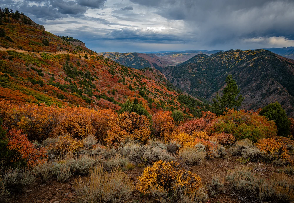 Majestic Autumn Pathway Through Vibrant Mountains