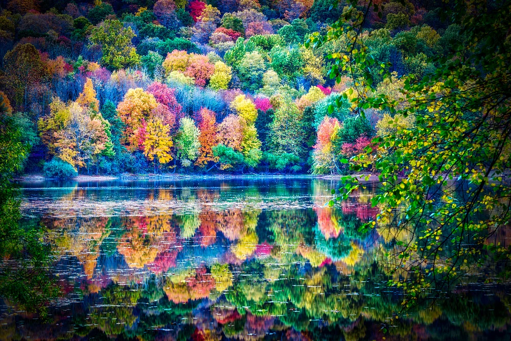 Captivating Autumn Tapestry Reflected in Still Waters