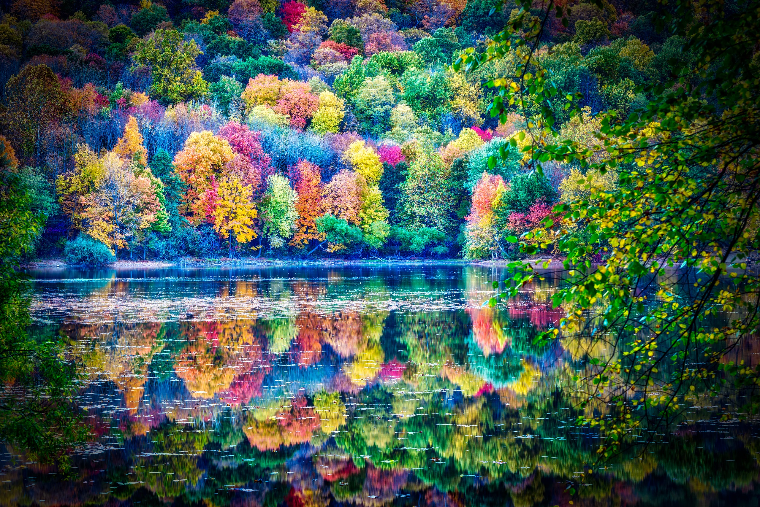 Captivating Autumn Tapestry Reflected in Still Waters