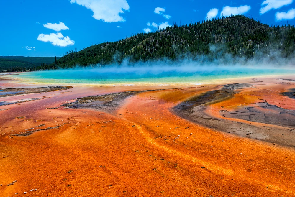 Vivid Colors of Grand Prismatic Spring's Thermal Beauty