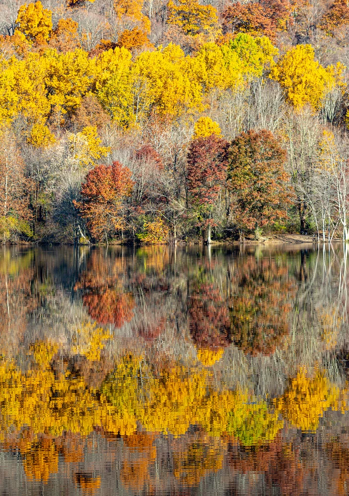 Autumn's Palette Reflected in Tranquil Waters