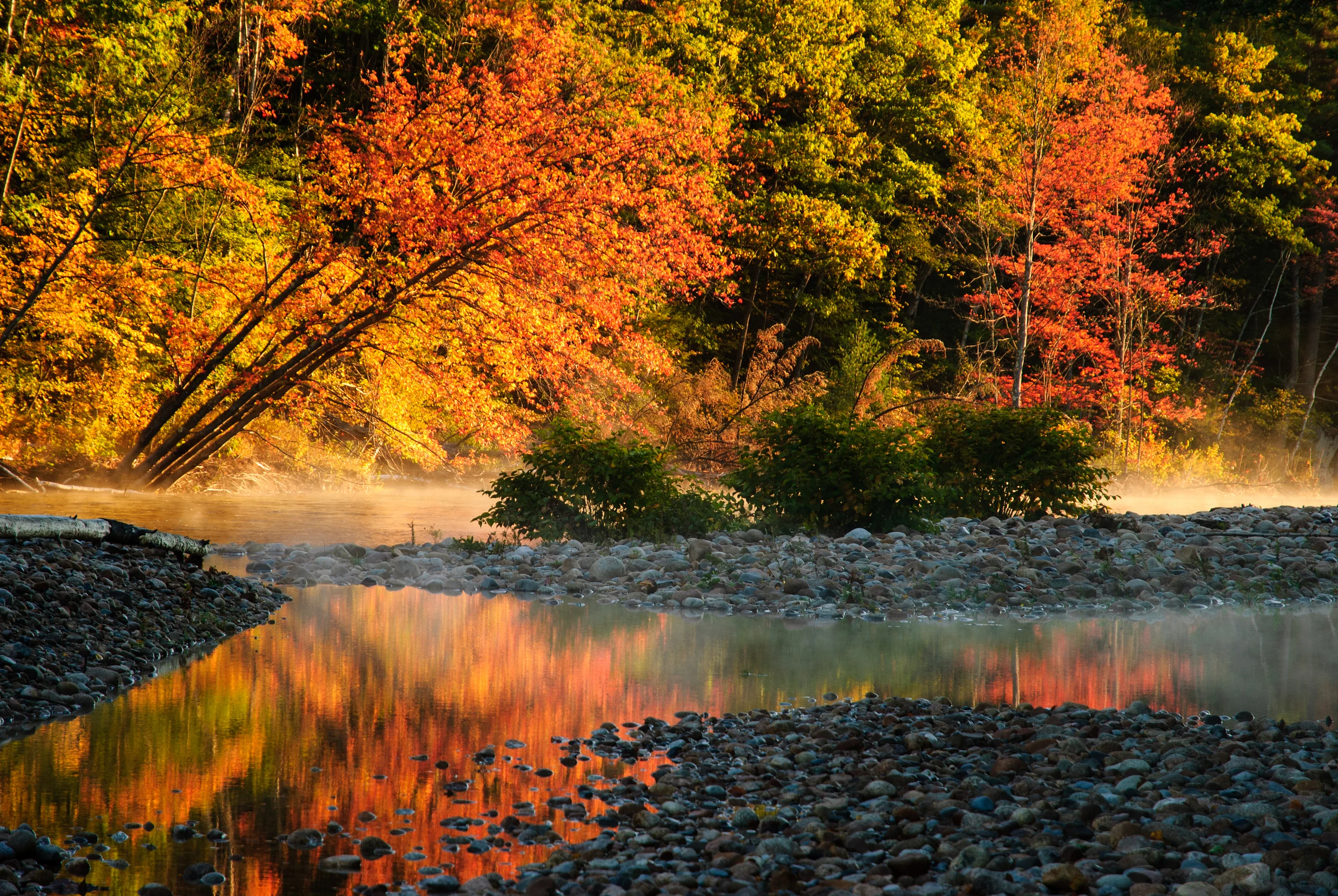 Vibrant Autumn Reflections in Tranquil Waters