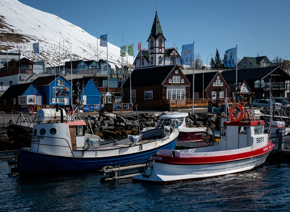 Charming Husavik Harbor with Colorful Boats