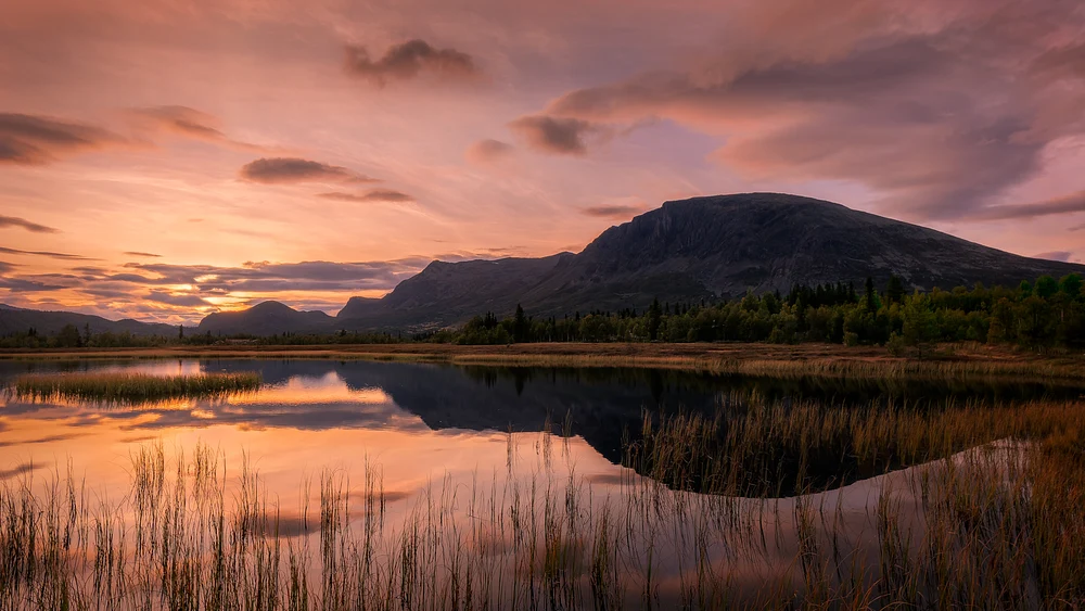 A stunning sunset over Skogshorn mountain, reflecting in calm waters with tall grasses in the foreground.