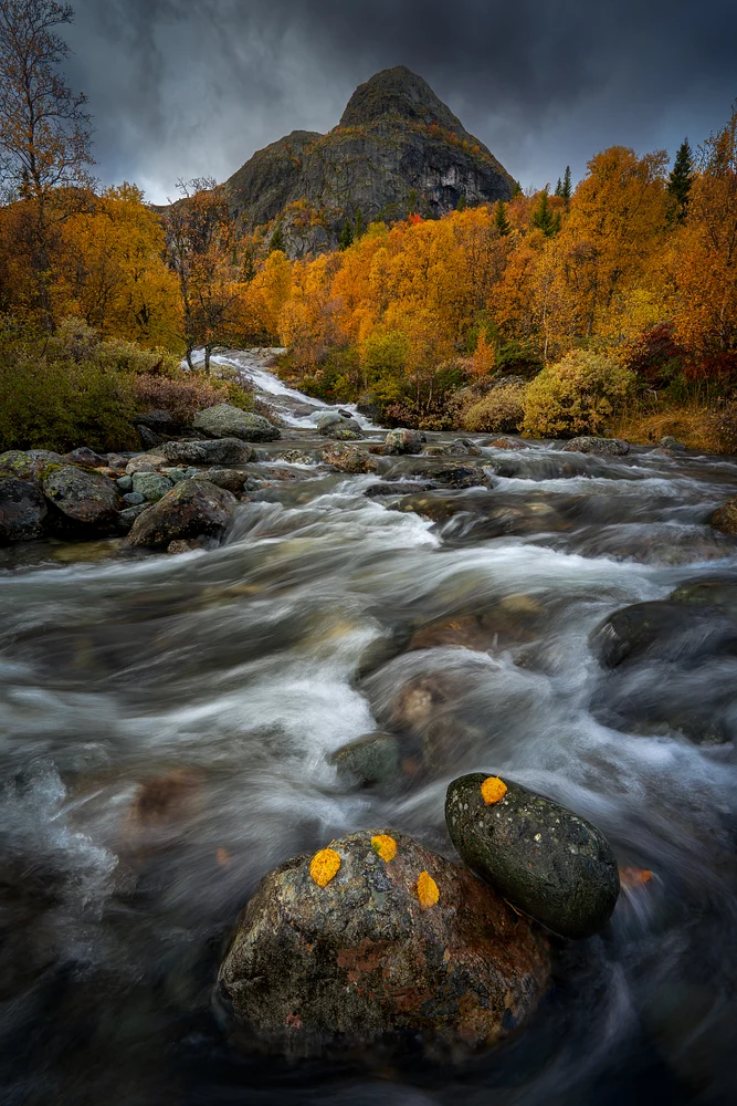 A flowing river surrounded by autumn foliage and a mountain in the background, showcasing vibrant fall colors and a serene natural setting.