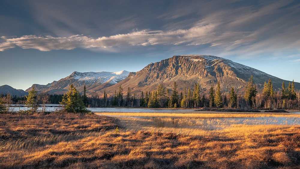 Scenic view of Skogshorn Mountain in autumn, featuring golden grasses, evergreen trees, and a serene lake under a clear blue sky.