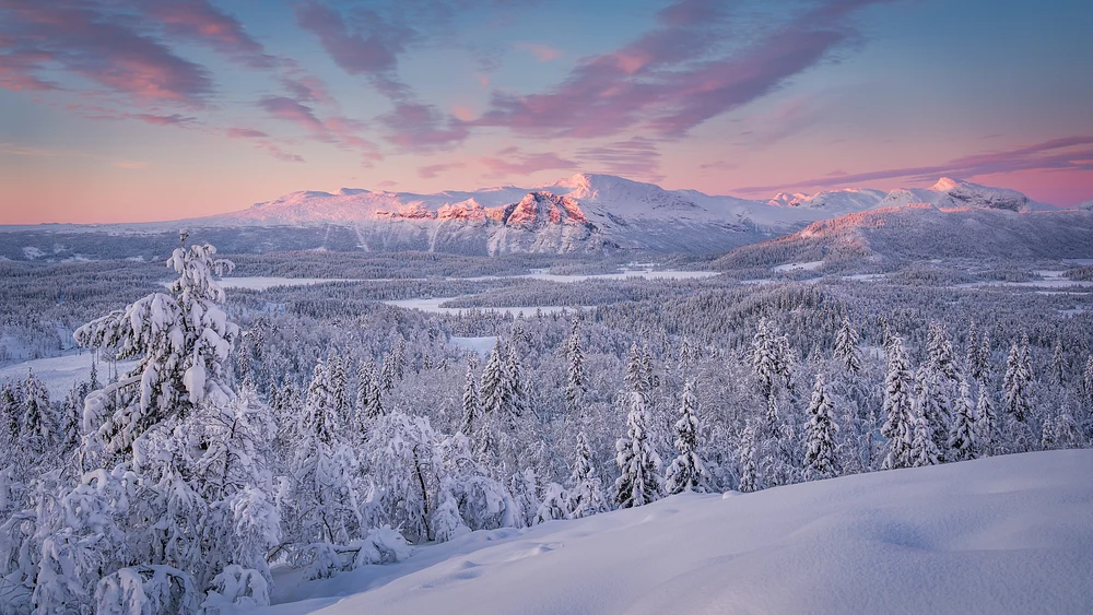A breathtaking winter landscape in Norway at dawn, featuring snow-covered trees and mountains illuminated by soft pink and purple hues in the sky.